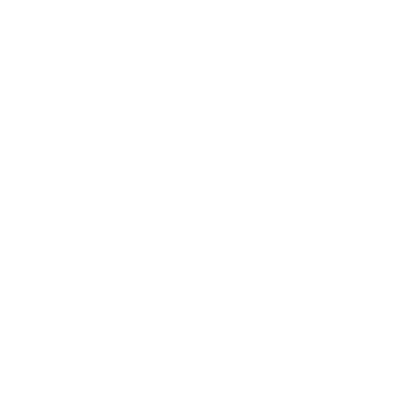 IG SERVICE s.r.o. logo